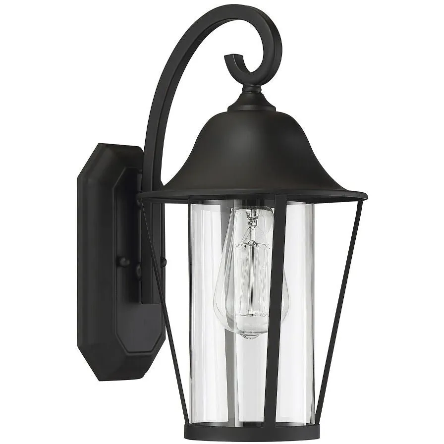 1-Light Outdoor Wall Lantern