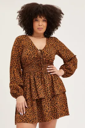 Animal Print Skater Dress V-Neck Long Sleeve