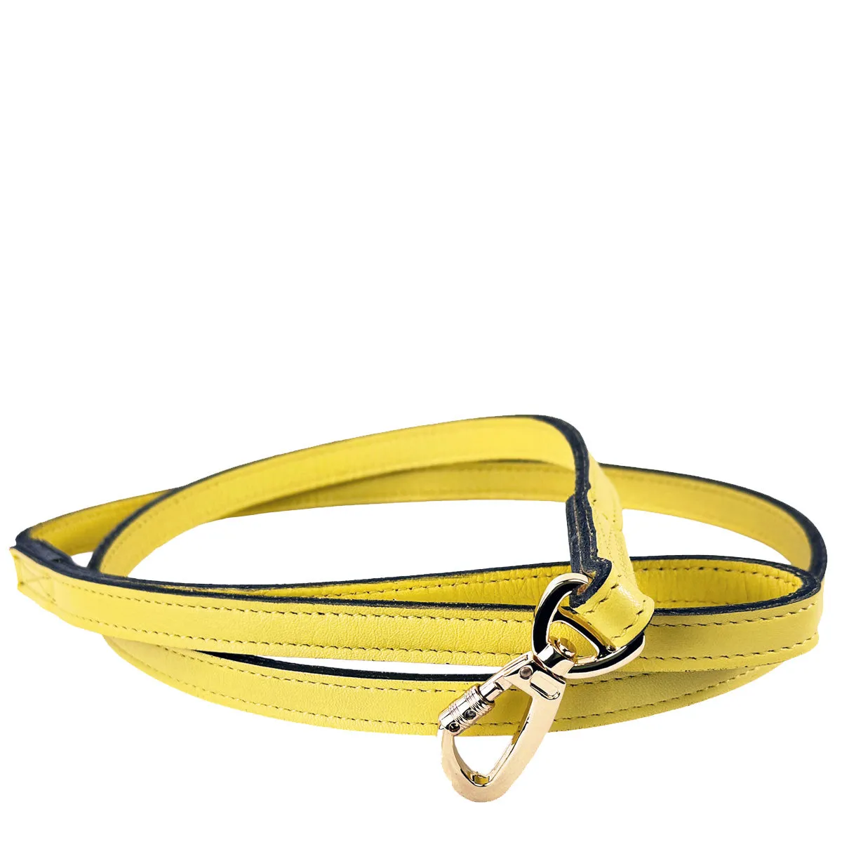 Athena Dog Leash in Canary Yellow & Gold