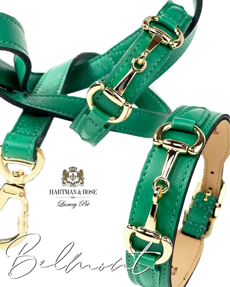 Belmont Dog Leash in Kelly Green & Gold