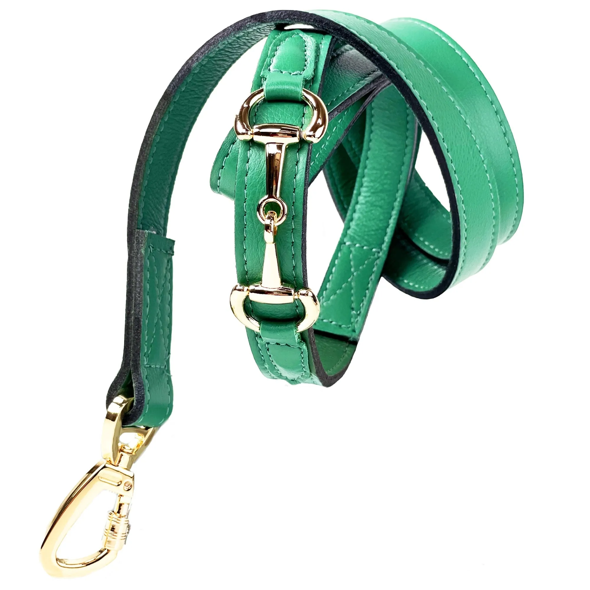 Belmont Dog Leash in Kelly Green & Gold