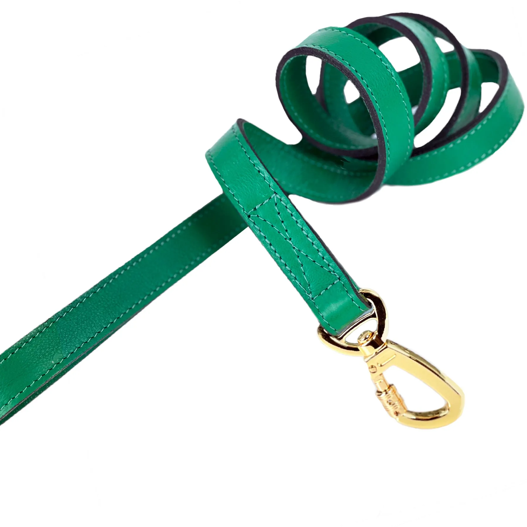 Belmont Dog Leash in Kelly Green & Gold