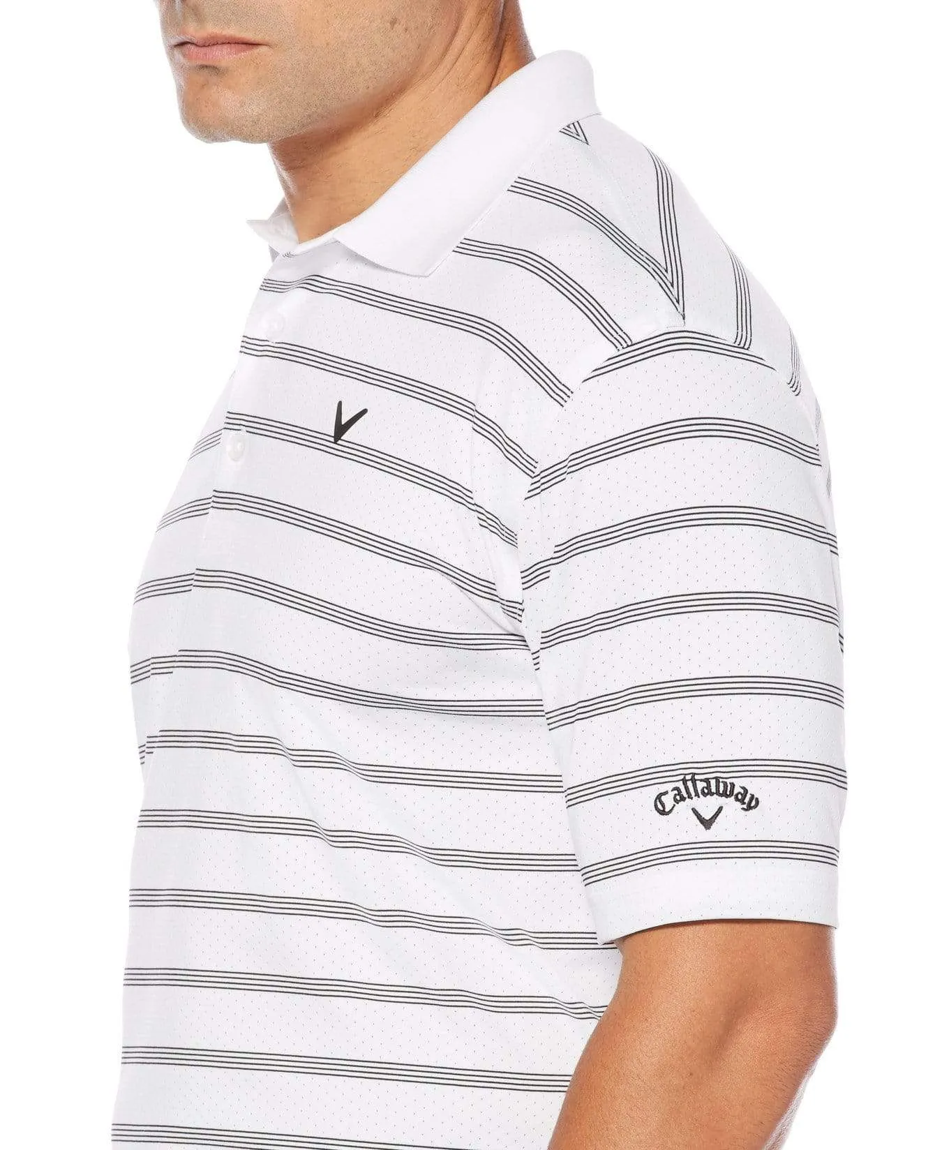 Big & Tall Opti-Dri Striped Polo