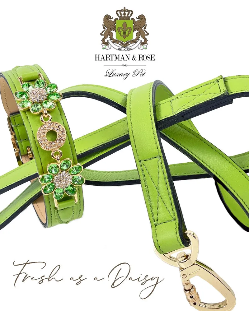 Daisy Dog Leash in Lime Green & Gold