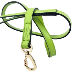 Daisy Dog Leash in Lime Green & Gold