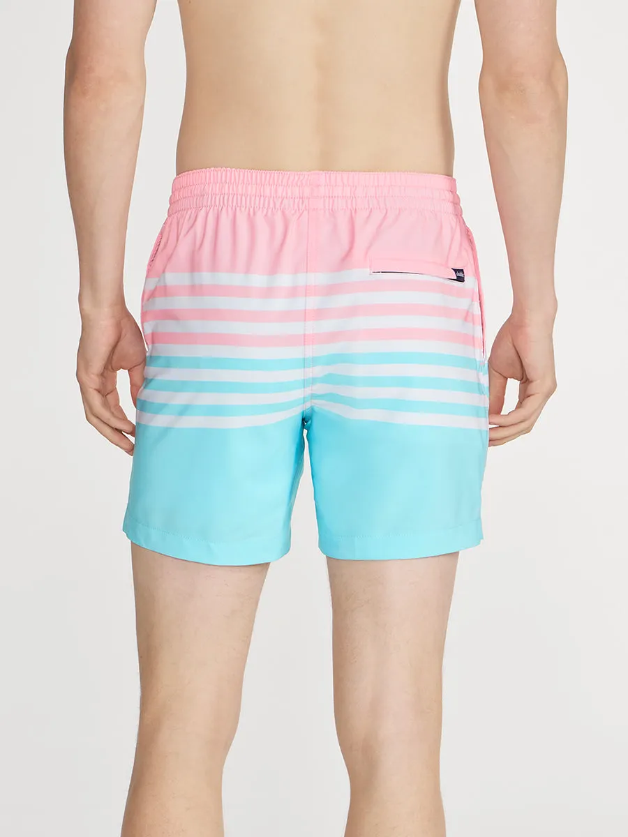 The On The Horizons 5.5" (Lined Classic Swim Trunk)