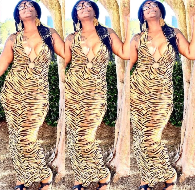 WOMEN ANIMAL PRINT TIGER STRIPES SHEER SEXY DRESS